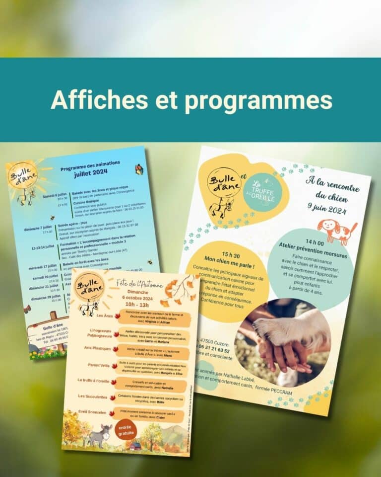 affiches et flyers bulle d_ane